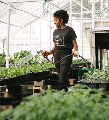 Christa Barfield of FarmerJawn watering a row of plants in a greenhouse
